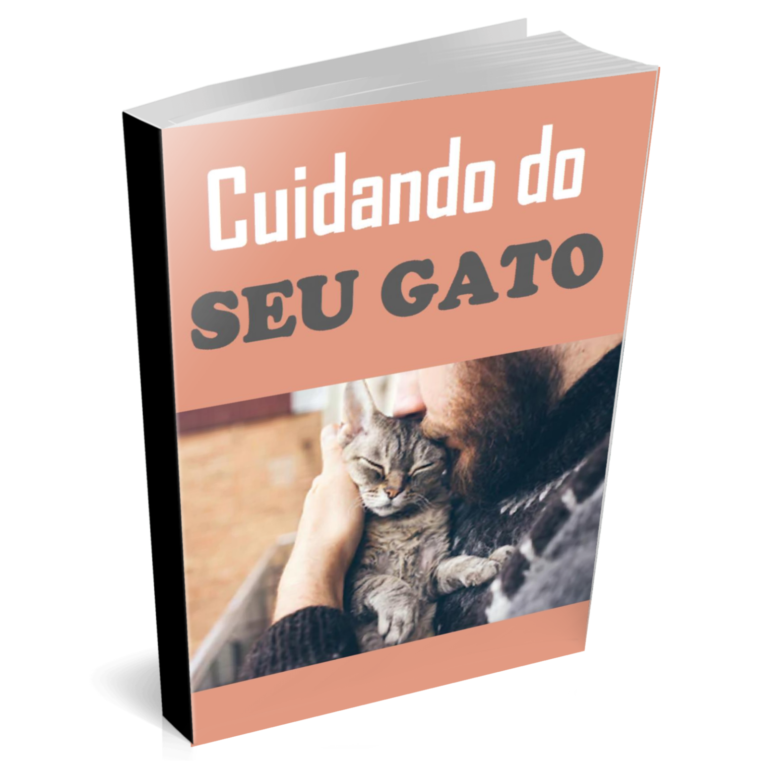 Cuidando Do Seu Gato O Rei Do PLR