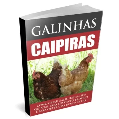 PLR Galinhas caipiras