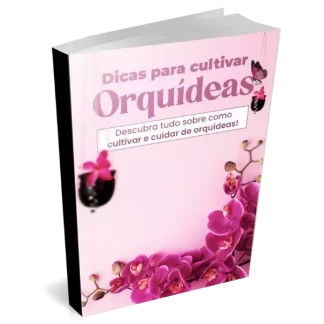 PLR Dicas para cultivar Orquídeas